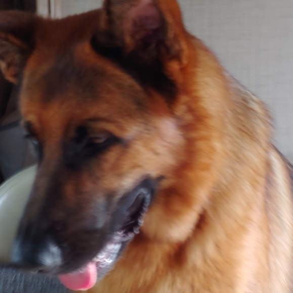 Meet your Posher, Laura - Picture 2 of 10